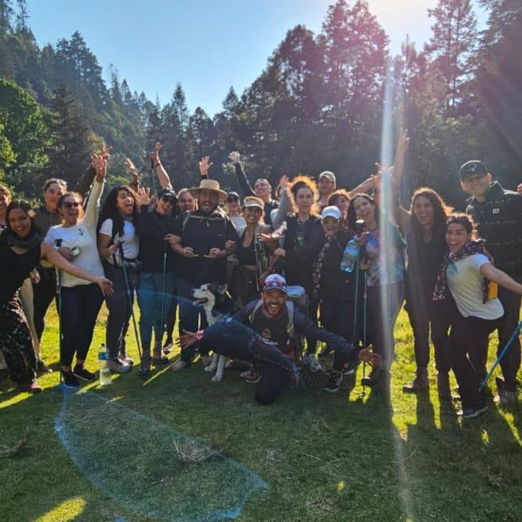 El Pozo – Aprendizaje experiencial en psicología transpersonal | Terrasana