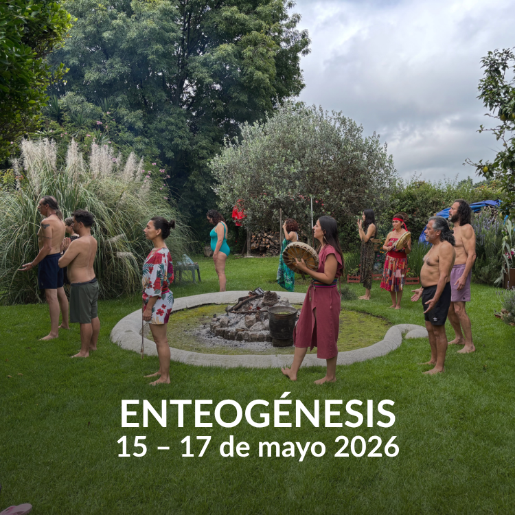 Retiro Enteogénesis – Medicina sagrada y psicología transpersonal cerca de CDMX | Terrasana mayo 2026