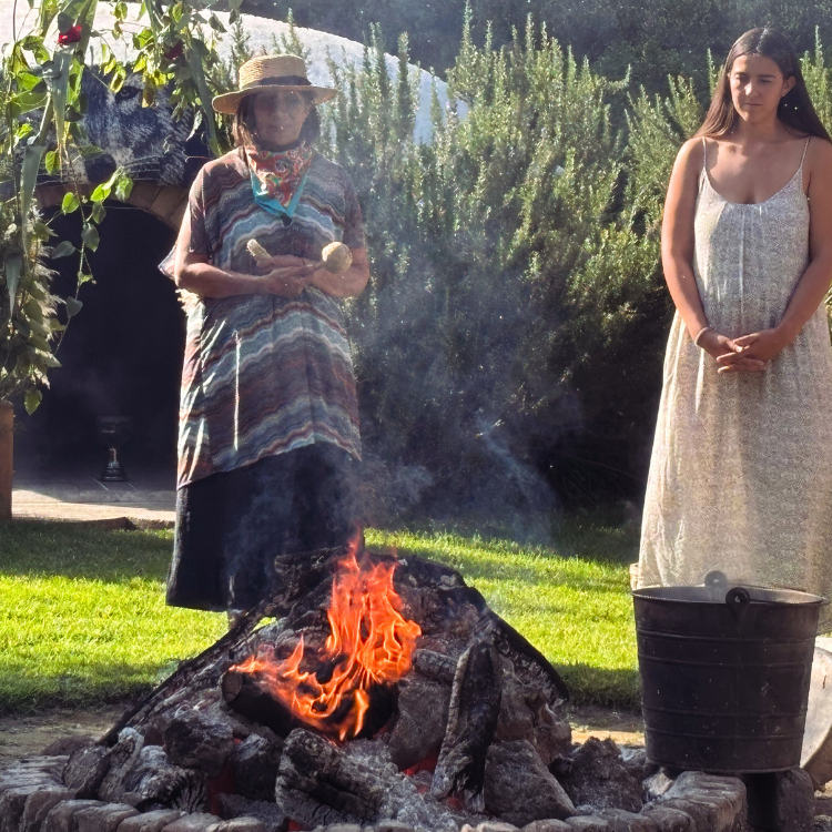 Enteogénesis – Retiro de exploración interior México | Terrasana