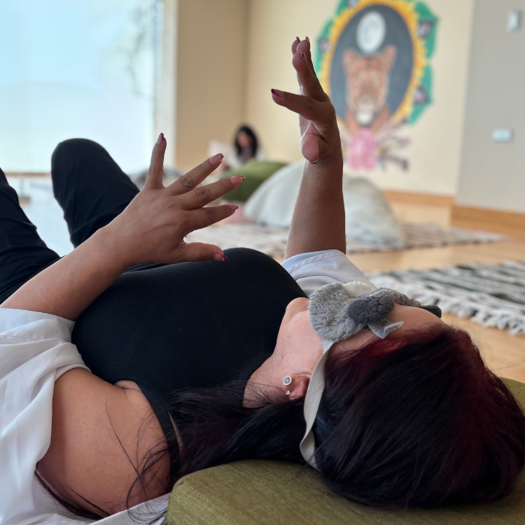 Retiro con medicina sagrada y estados expandidos de conciencia – 2a edición | Terrasana