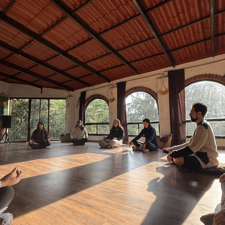 Experiencia transpersonal de sanación y expansión con enteógenos | Terrasana