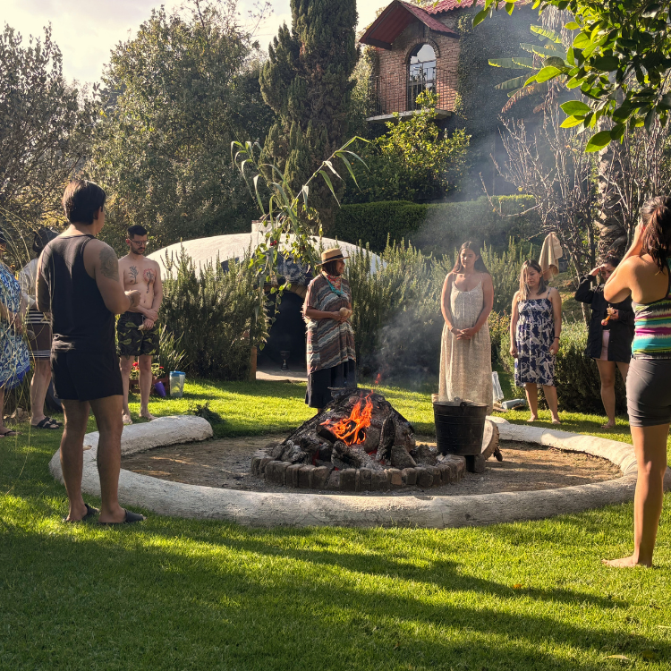 Enteogénesis – Retiro de exploración interior con medicina sagrada | Terrasana México