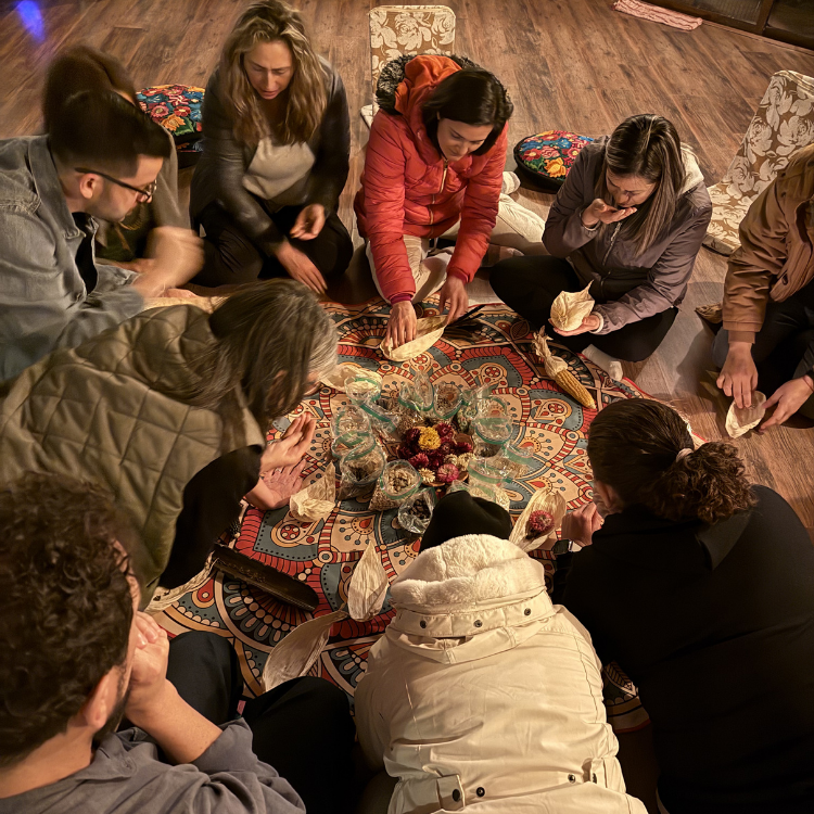 Retiro con medicina sagrada y conciencia expandida – Integración Viva | Terrasana