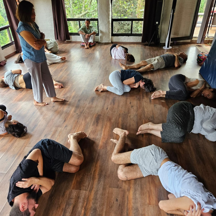 Experiencia transpersonal de integración y transformación – Integración Viva