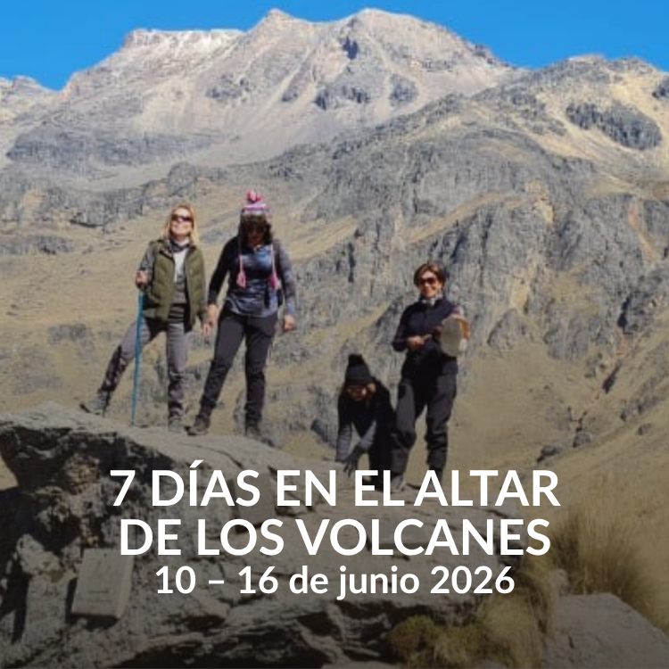 7 días en el Altar de los Volcanes – Retiro en la naturaleza y conexión espiritual México | Terrasana junio 2026