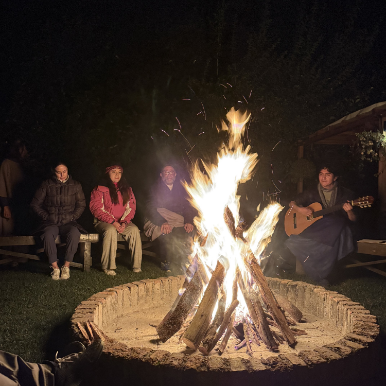 Formación en psicología transpersonal e integración viva | Terrasana