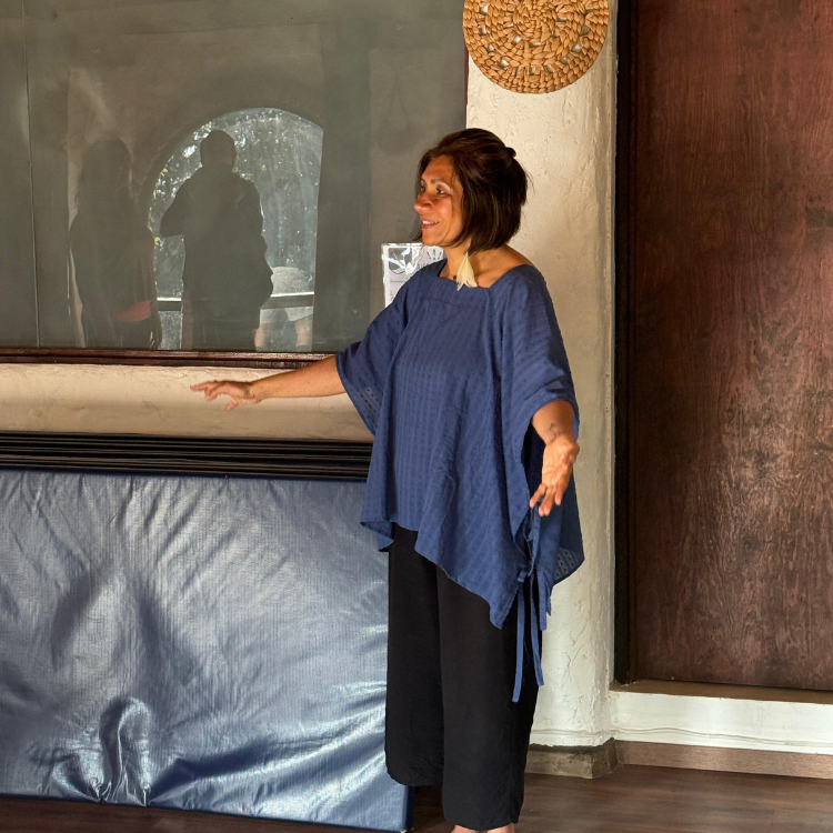 Diplomado de desarrollo humano y conciencia México – Integración Viva | Terrasana