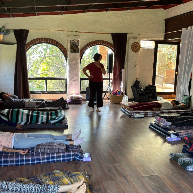 Retiro con medicina sagrada y estados expandidos de conciencia | Terrasana