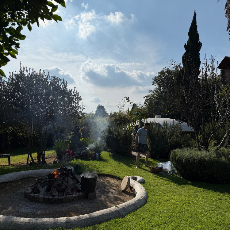 Retiro de respiración consciente en la naturaleza | Terrasana