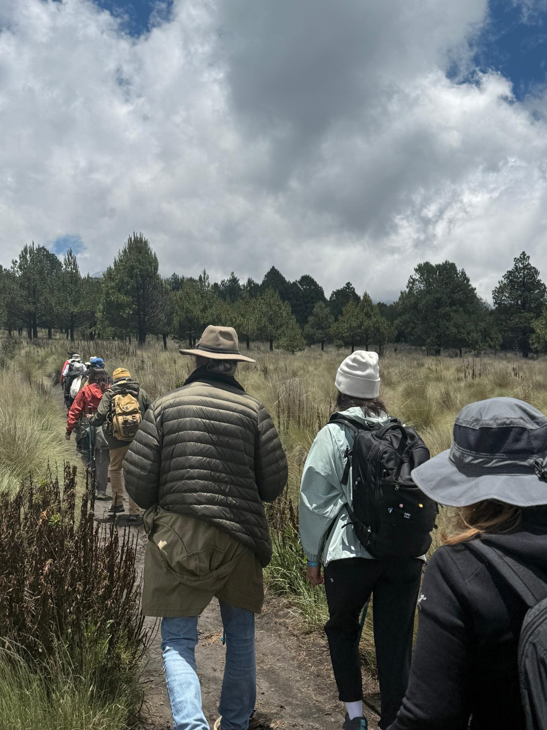 10 – 16 junio | 7 días en el Altar de los Volcanes Terrasana
