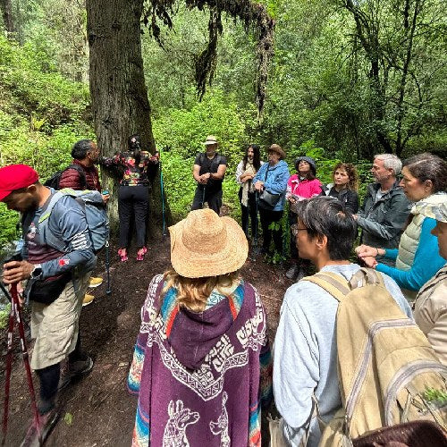 Retiros privados en la naturaleza – Conexión profunda entre personas | Terrasana Tepetlixpa